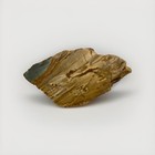 Owyhee Picture Jasper Rough Rock 8.3 Ounces — photo 1