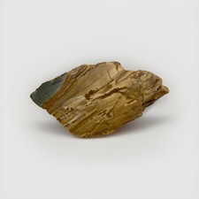 Owyhee Picture Jasper Rough Rock 8.3 Ounces