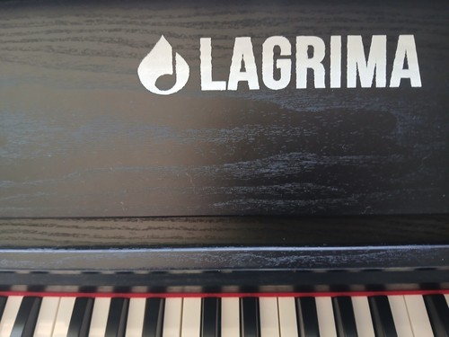 Lagrima 88-Key Piano, 3 Pedals, USB, Metronome/Record, Black (READ DESC)