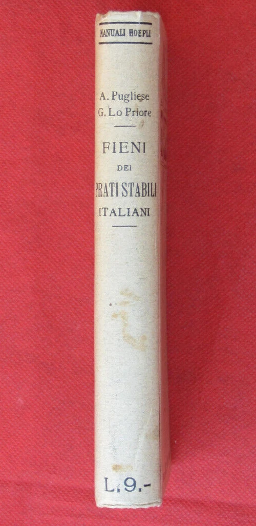 Foto 6 di 7