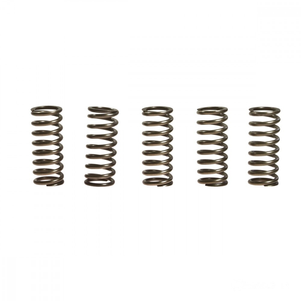 2910080 Kupplungsfedern Satz Set Verstärkt (3 Stück) Für O