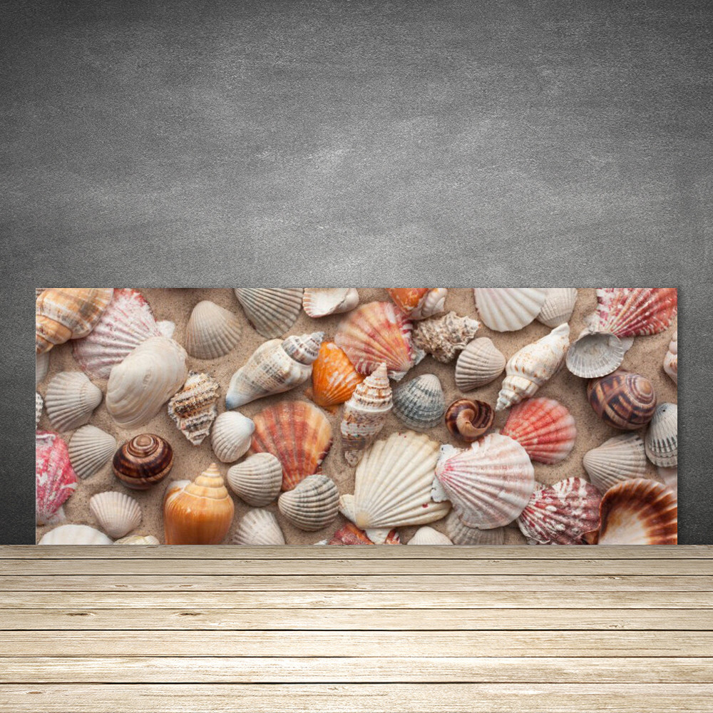 Crédence de cuisine panoramique en verre véritable Art Coquillages