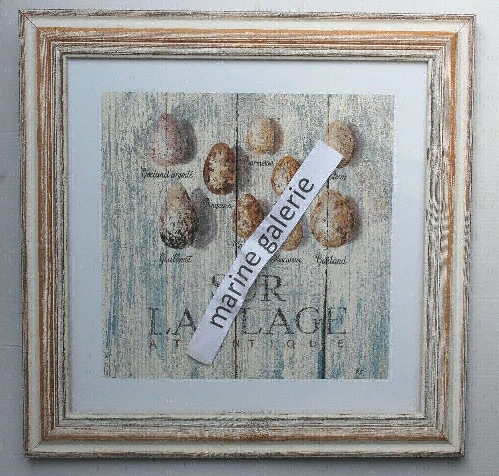 Tableau oeufs d'oiseau de mer cadre plage pour sublimer un mur