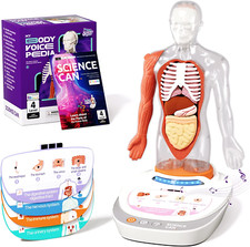 Human Body Model for Kids, Interactive Human Anatomy Talking Mode...