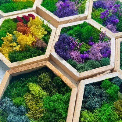 Honeycomb Moss Wall Art - Wood Hexagon Decor. Preserved Moss Art Framed