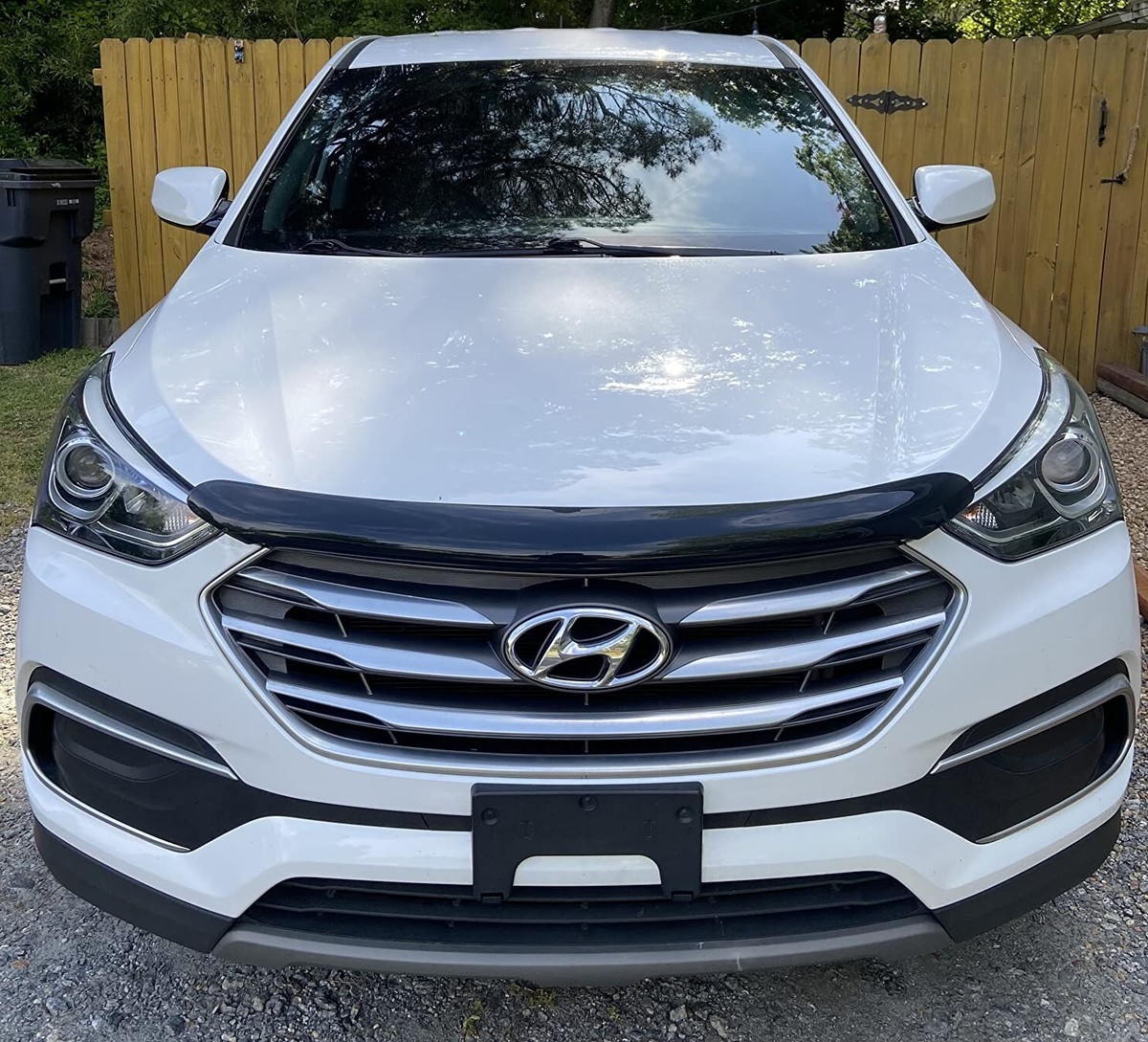 バグシールド Auto Ventshade（AVS）21570 Hoodflector Hood