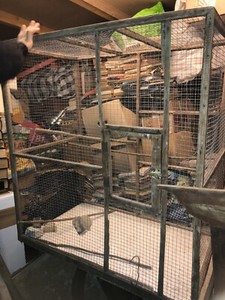 Détails Sur Grande Cage Ancienne En Bois