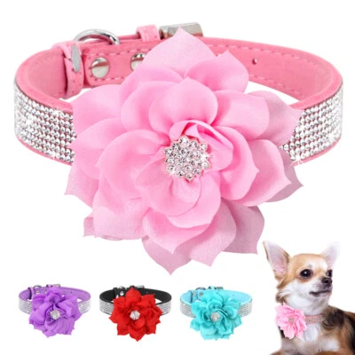 Diamond Dog Collar with Big Flower Soft Suede Leather Bling Rhinestones Cat XS-L