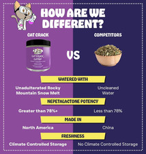 Catnip, Zoomie-Inducing Cat Nip Blend, North American Made  100 Natural, Sa...
