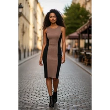 Jella Couture Black Beige Chevron Panel Sheath Dress Women's Size Medium