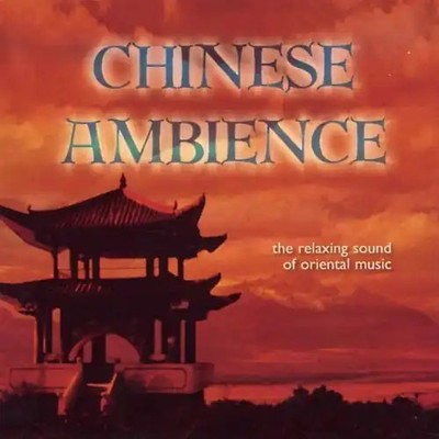 Various - Chinese Ambience ZUSTAND SEHR GUT