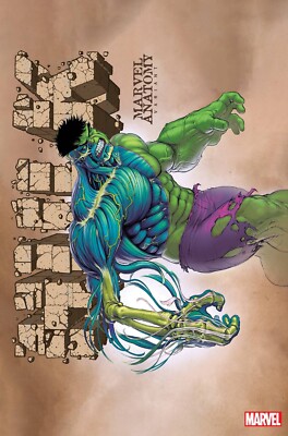 HULK #11 LOBE MARVEL ANATOMY VARIANT (18/01/2023)