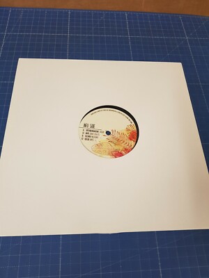 Various   Rooted Series V/A 004 Vinyl