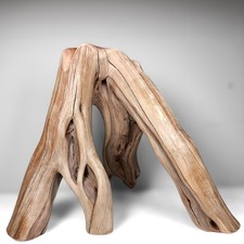 22" Manzanita Driftwood Stump: Reptile Habitat, Aquarium Decor