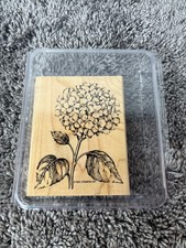 STIPPLE HYDRANGEA 2001 Stampin' Up Stamper
