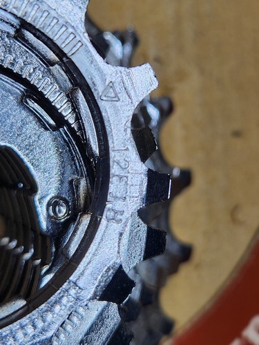 Sunrace Bicycle Cassette 7 Speed 12-24 Teeth NOS - Picture 4 of 5