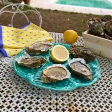 Superb Vtg French GIEN TURQUOISE BLUE Majolica OYSTER DISH PROVENCE AZUR 6 Wells
