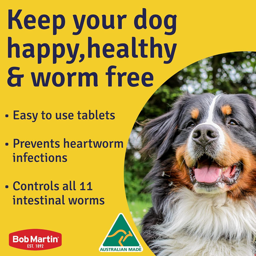 Worming Tablets for Dogs 40G Kills 5 Worms 1 Dose Chewable Liver Flavor 4 Pack - Picture 4 of 12