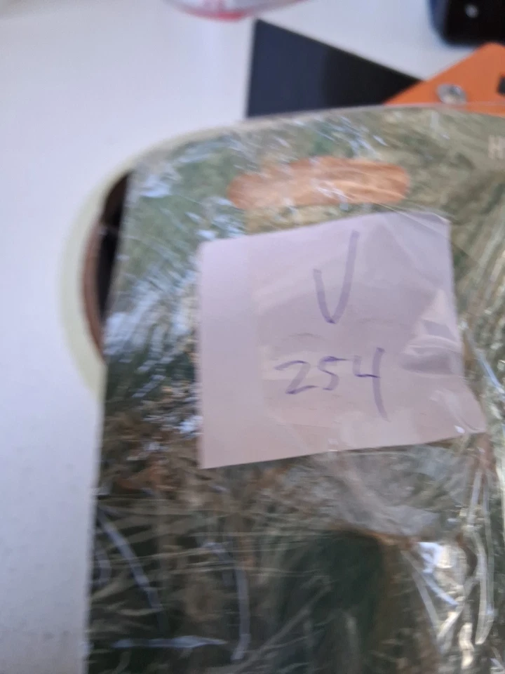 Bombilla Faro-S Sylvania H9 Foto 3 de 3