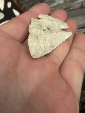 THEBES ARROWHEAD ILLINOIS ANCIENT AUTHENTIC NATIVE AMERICAN ARTIFACT 