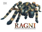 Ragni, scorpioni e altre creature spaventose. Ediz. a colori - Martin Claudia