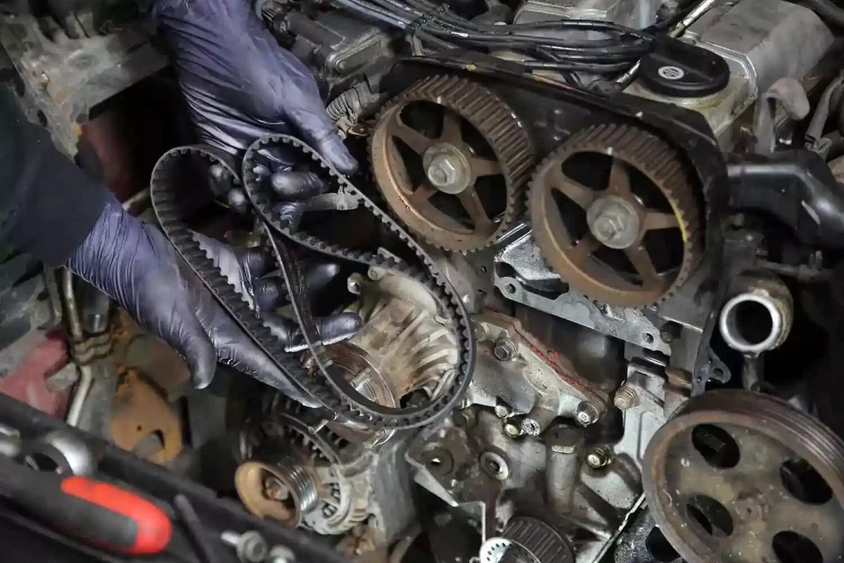 Mechanic removing the timing belt from the crank and cam gears.