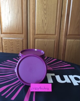 TUPPERWARE LITTLE WONDERS SET OF 2 RHUBARB/PURPLE NEW BPA FREE SHIP