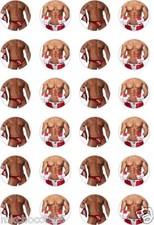 24x PRECUT CHRISTMAS/XMAS SEXY SANTA/MAN/RICE/WAFER PAPER CUP CAKE TOPPERS