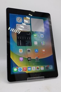 Apple iPad 6.Gen 2018 32GB WiFi Space Grau A1893 Displayschaden #5090