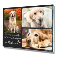 Personalized Pet Memorial Gifts with Photo of your Dog, Cat Custom Metal Print