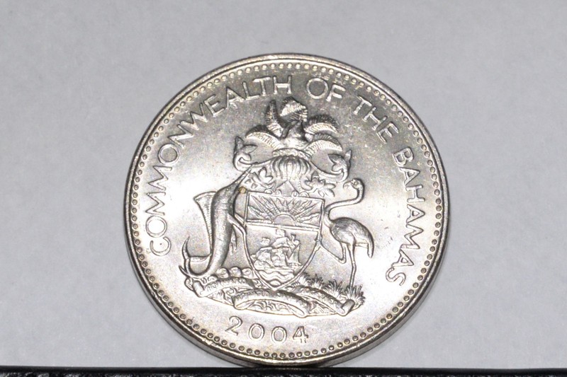 2004 Bahamas Circulated Five Cent Coin Pineapple