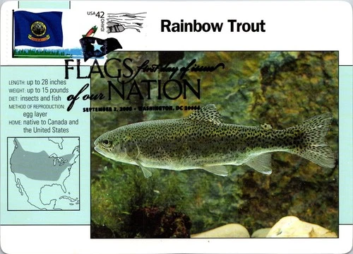 Dr Jim Stamps Maximum Card Idaho State Flag 42C Flags Of Our Nation Fdc