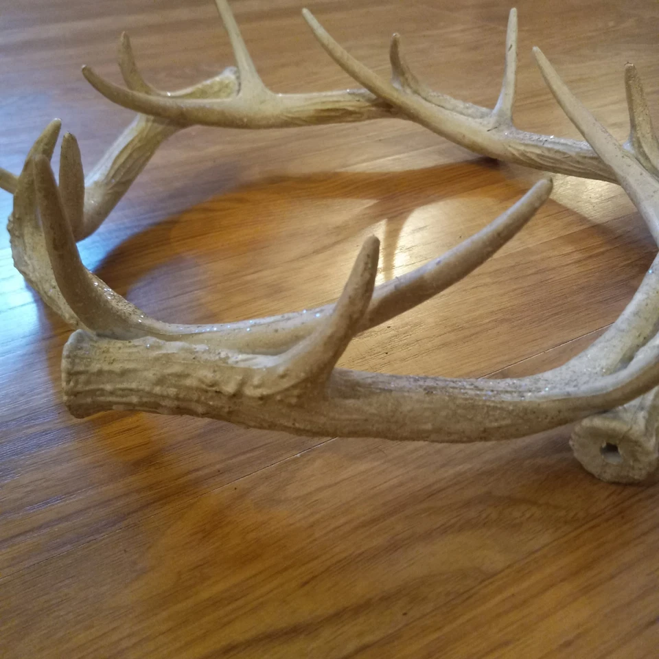 Corona redonda de cuerno de ciervo taxidermia imitación 12" mesa centro de mesa anillo o pared Foto 3 de 4