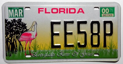 USA Nummernschild aus Florida ''Everglades River Of Grass'' mit schöner Grafik.