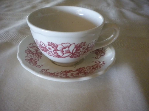 Vintage Homer Laughlin Restaurant Ware Cup & Saucer Rose Floral Design
