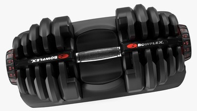Bowflex SelectTech 1090 Dumbbell Replacement Weight Plates Choose: 1 2 3 4 5