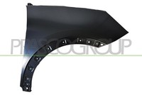 Prasco KotflüGel Vorderachse Rechts Pasend FüR Ford Puma CF7 J2K