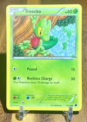 Treecko 6/116 Common Plasma Freeze Pokemon Lightly Played