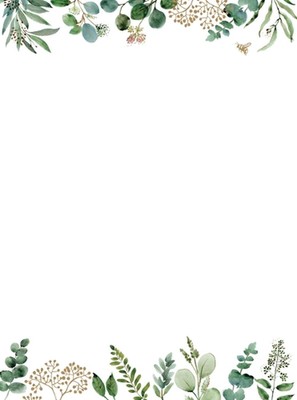 Eucalyptus Boxed Stationery (24 Sheets, 30 Envelopes) by Peter Pauper Press Book