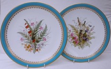 Pair of Royal Worcester Hand Painted Floral Plates