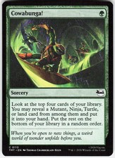 Cowabunga! 113 Teenage Mutant Ninja Turtles Magic the Gathering