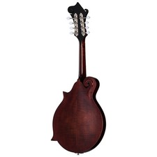 12 string mandolin products for sale | eBay