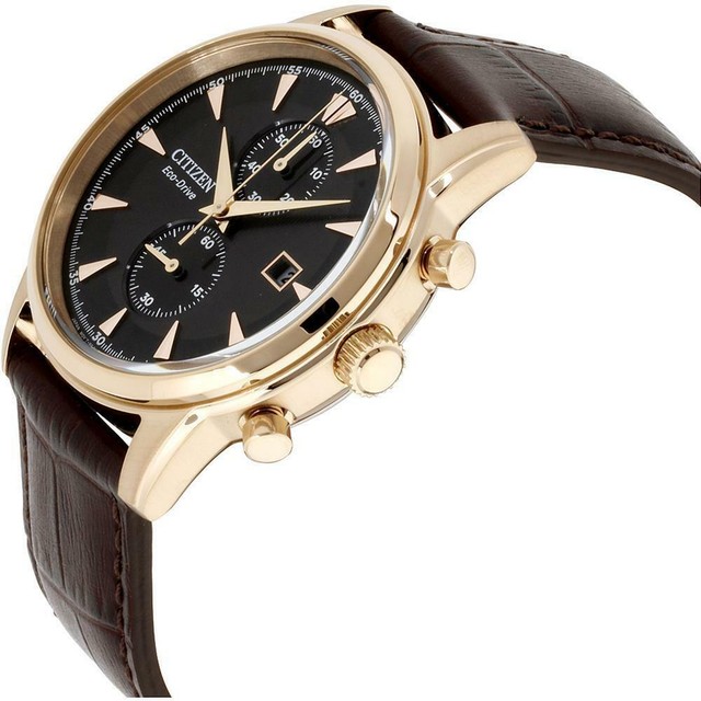 breed holden watch