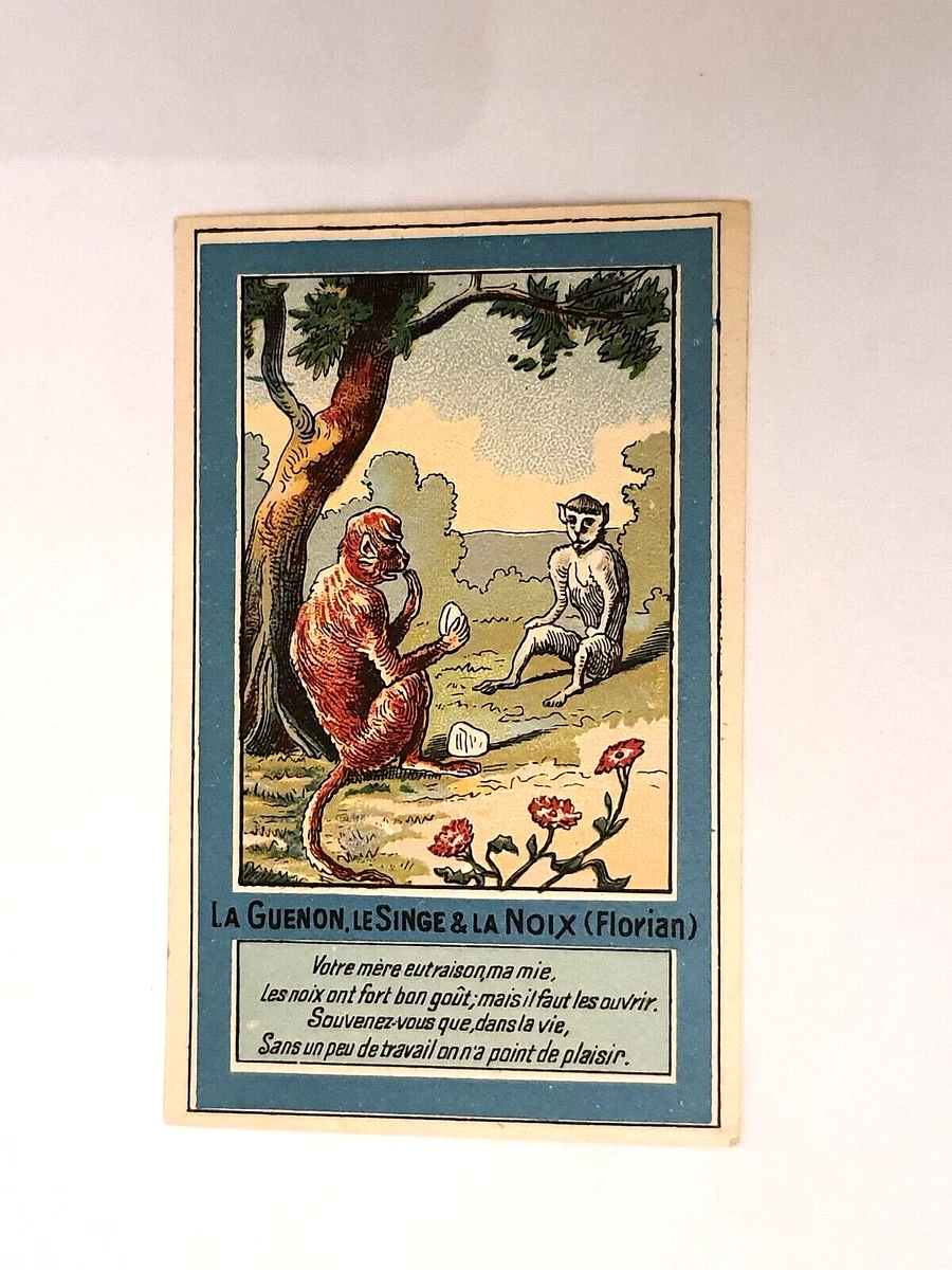 Dessin La Guenon Le Singe Et La Noix CHROMO ANCIEN FABLE FLORIAN LA GUENON LE SINGE LA NOIX IMAGE SCOLAIRE RECOMPENSE | eBay