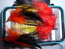 Flies - Near Shore Fly Selection (9) + Waterproof Clear Lid Box - Saltwater