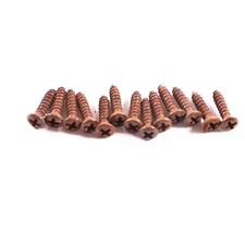 AGP Aged Relic Phillips Head Pickguard Screws for Tele and Strat-Style Guitars