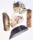 Petrified Wood - Plasma Agate- Mt Maury Moss Agate - Quartz Slab - Cabbing Rough — photo 1
