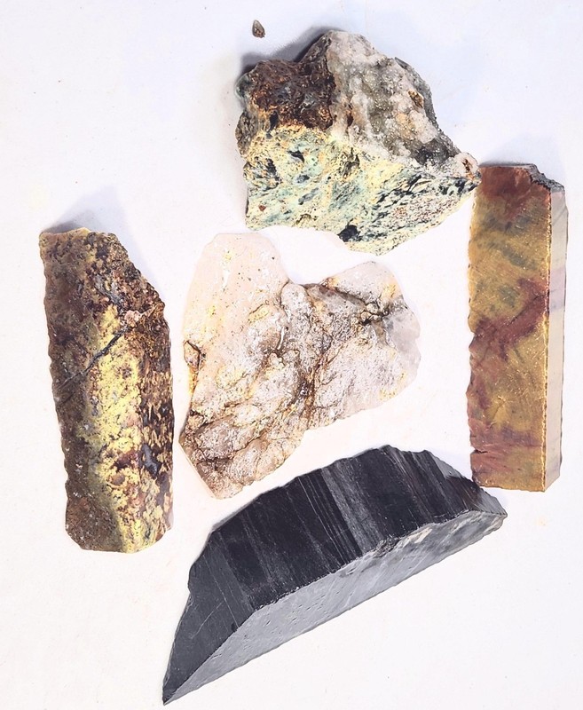 Petrified Wood - Plasma Agate- Mt Maury Moss Agate - Quartz Slab - Cabbing Rough