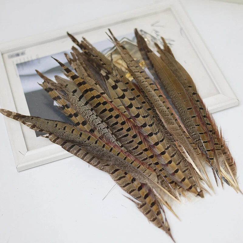 5Pz Piume Di Fagiano Naturali Piume Per Cappello Decorazione Artigianale - Immagine 4 di 4