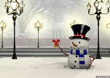 Winter 5'x7' Computer/ Digital Scenic Vinyl Photo Background Backdrop BHS053